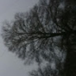 Meet your Posher, Daemon